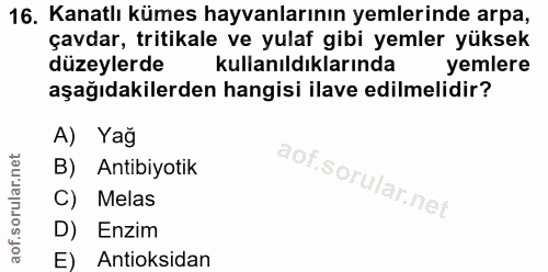 Soru 16