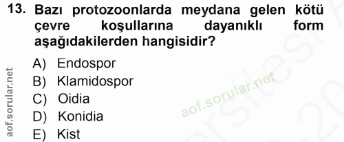Soru 13