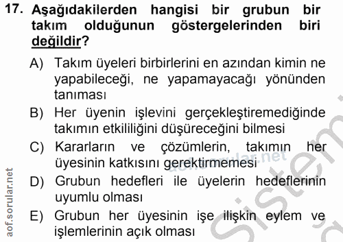 Soru 17