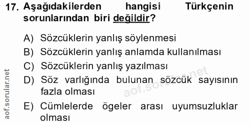 Soru 17