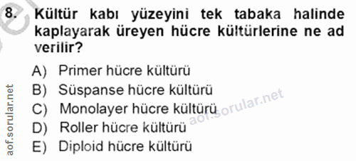 Soru 8