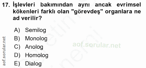 Soru 17