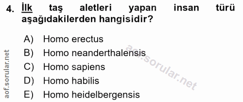 Soru 4