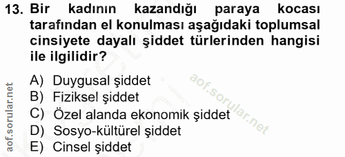 Soru 13