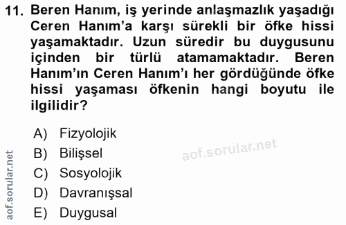 Soru 11