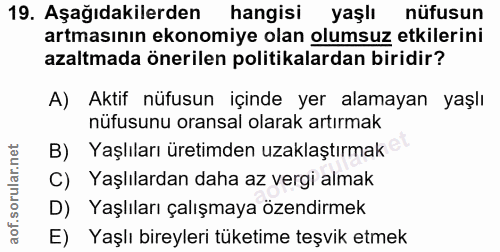 Soru 19