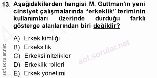 Soru 13