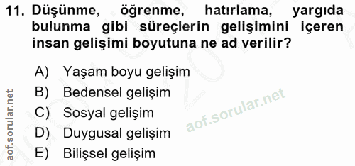 Soru 11