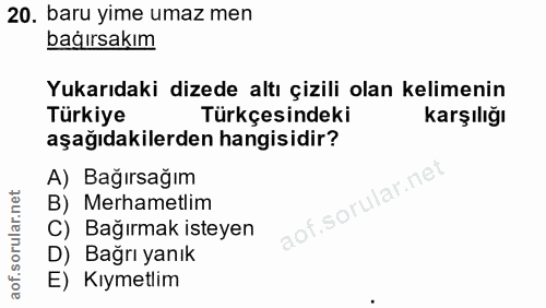 Soru 20