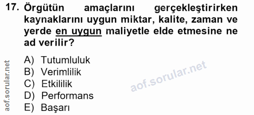 Soru 17