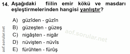 Soru 14