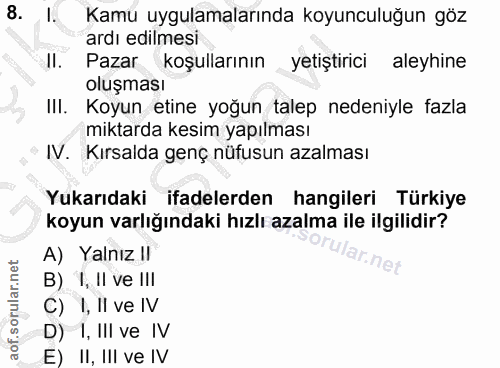 Soru 8