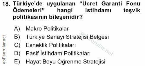 Soru 18
