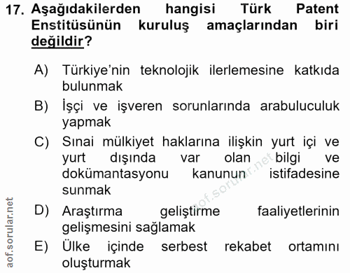 Soru 17