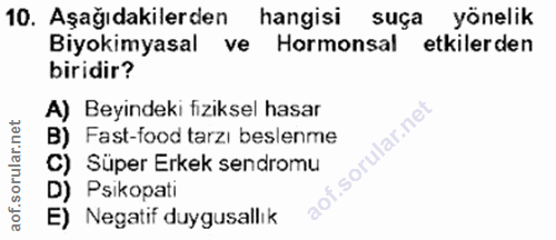 Soru 10