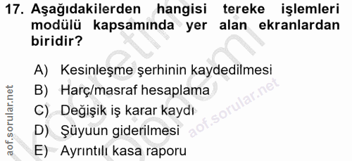 Soru 17