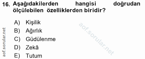 Soru 16