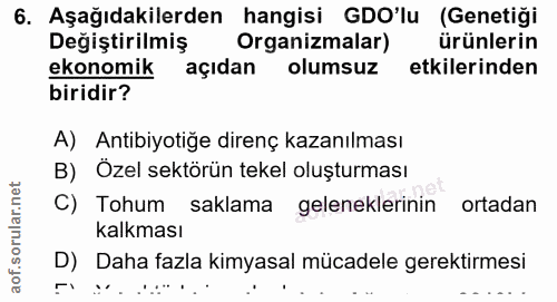 Soru 6