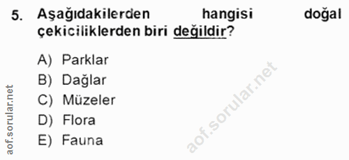 Soru 5