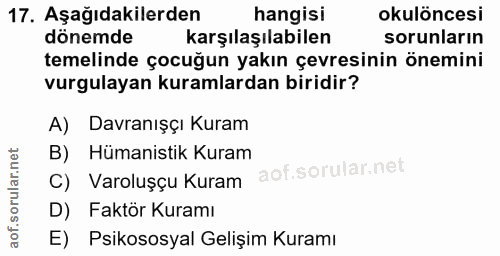 Soru 17