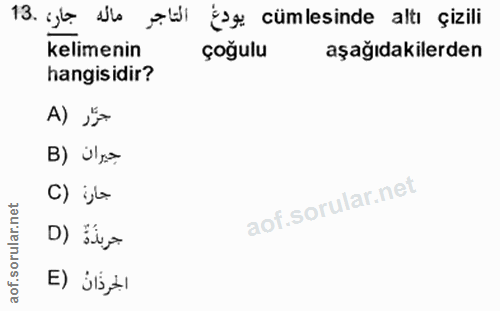 Soru 13