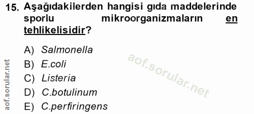 Soru 15