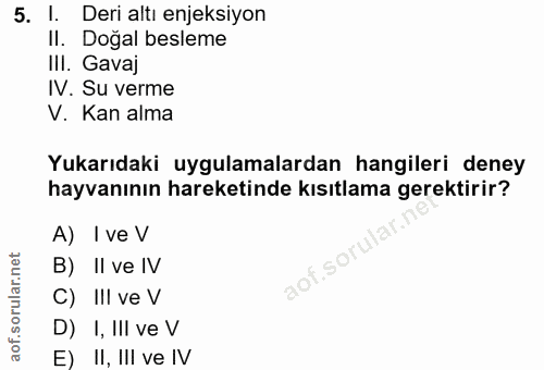Soru 5