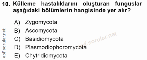 Soru 10