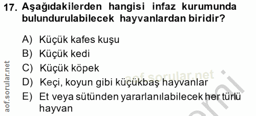 Soru 17