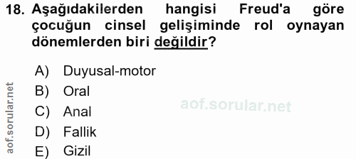 Soru 18