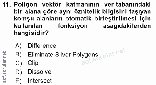 Soru 11