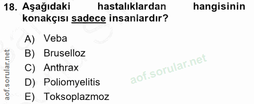 Soru 18