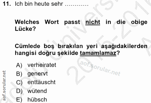 Soru 11