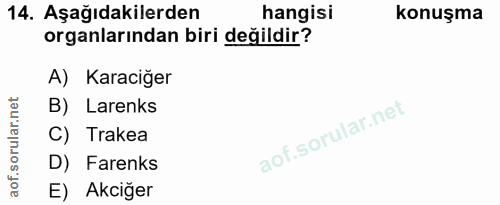 Soru 14