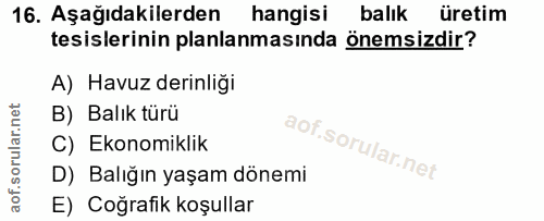 Soru 16
