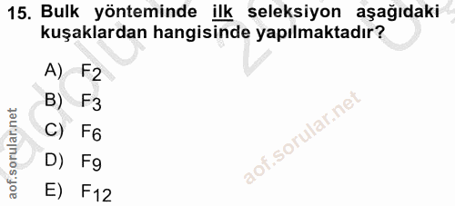 Soru 15