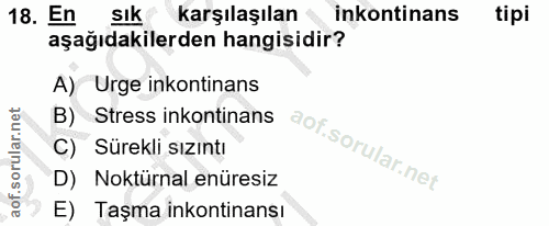 Soru 18