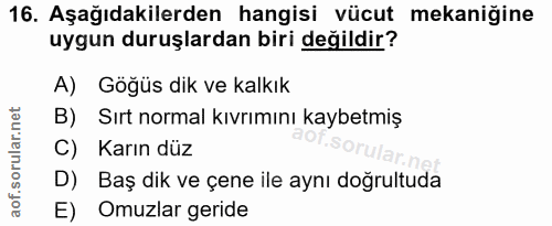 Soru 16