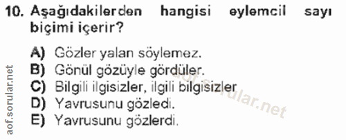 Soru 10
