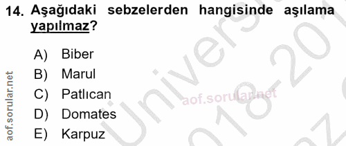 Soru 14