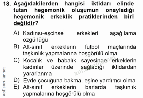 Soru 18