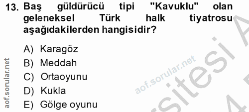 Soru 13