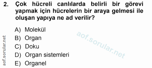 Soru 2