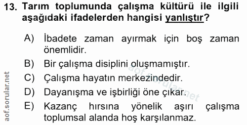 Soru 13