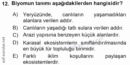 Soru 12