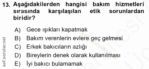 Soru 13
