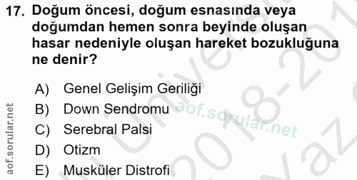 Soru 17