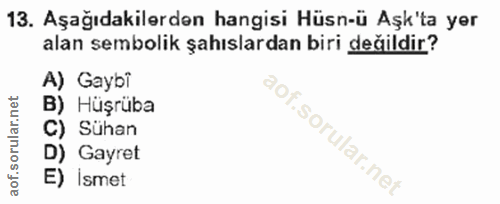 Soru 13