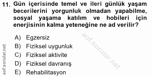 Soru 11