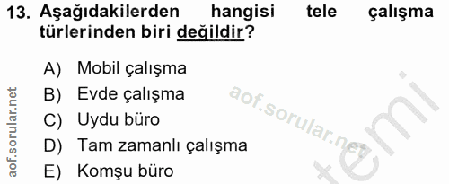 Soru 13